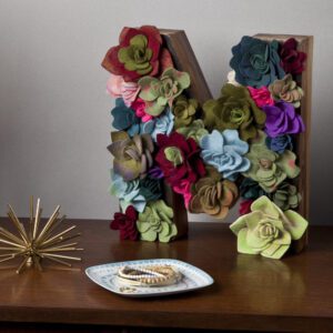 Ac1604 Felt Succulents Kit 5b Crop 1000x1000 1