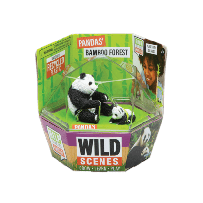 Wild Scenes Pandas’ Bamboo Forest